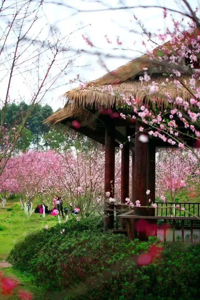 滨州教育系统：借助科普场馆联盟 提高广大师生科学素质