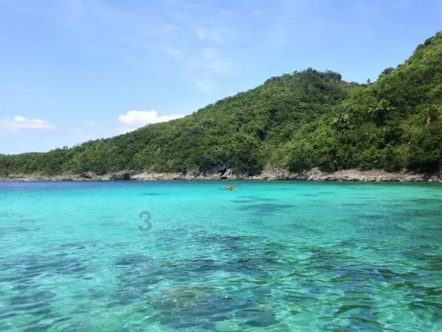 石斛扭出“枫”景图