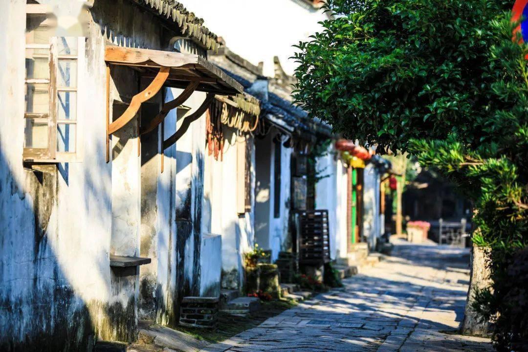国羽亚团赛名单公布